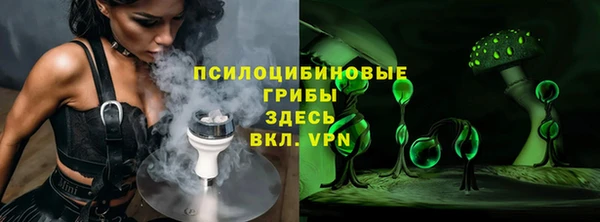 бошки Богданович